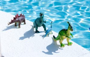 piscine dino